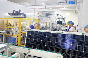 �����ֳ�