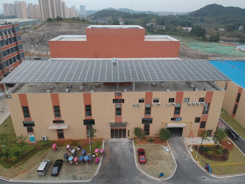 �������ɱ������Ǽ���