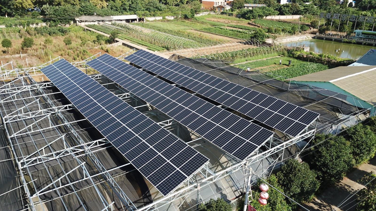 ̫���ܹ����������ɫ��������������ĳ������