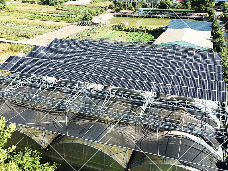 湖北Z6尊龙绿色能源有限公司 湖北Z6尊龙绿色能源有限公司