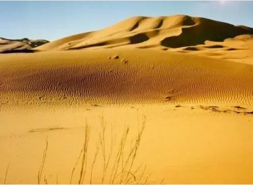 ����Z6������ɫ��Դ���޹�˾