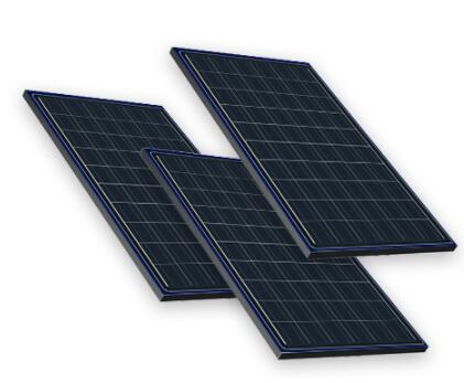 �����վӵ����Щ�ص�