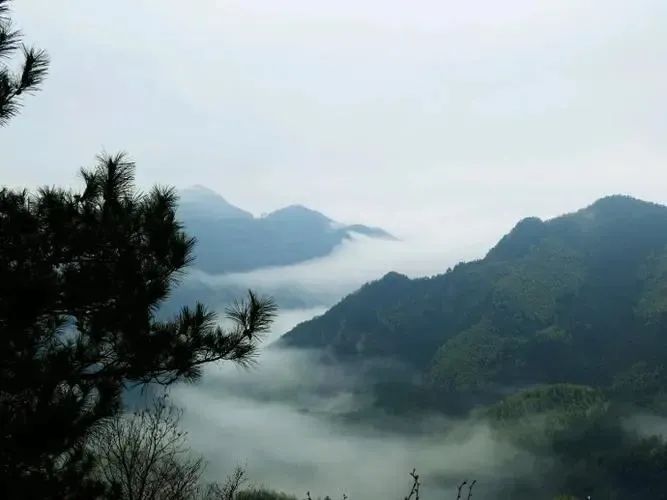 ����Z6������ɫ��Դ���޹�˾