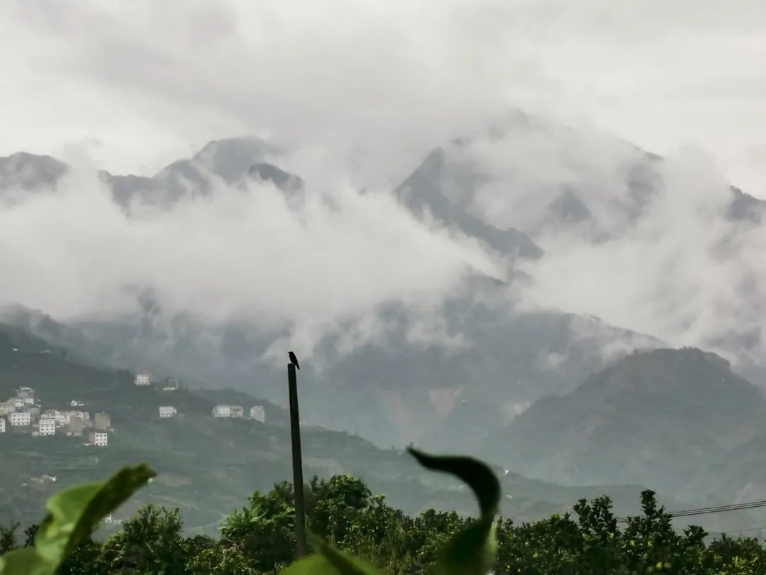 ����Z6������ɫ��Դ���޹�˾