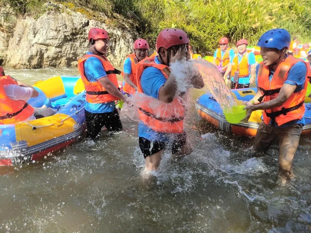 ����Z6������ɫ��Դ���޹�˾