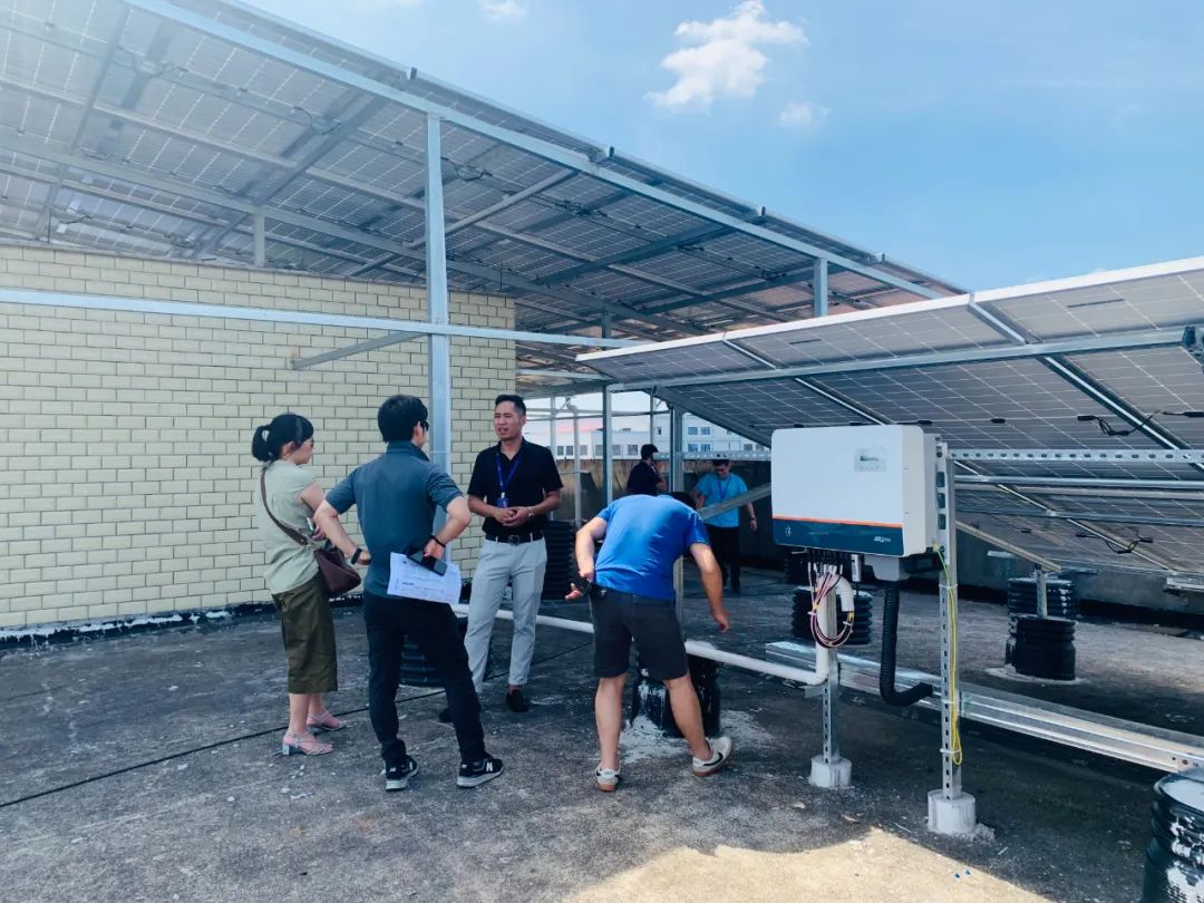 ����Z6������ɫ��Դ���޹�˾