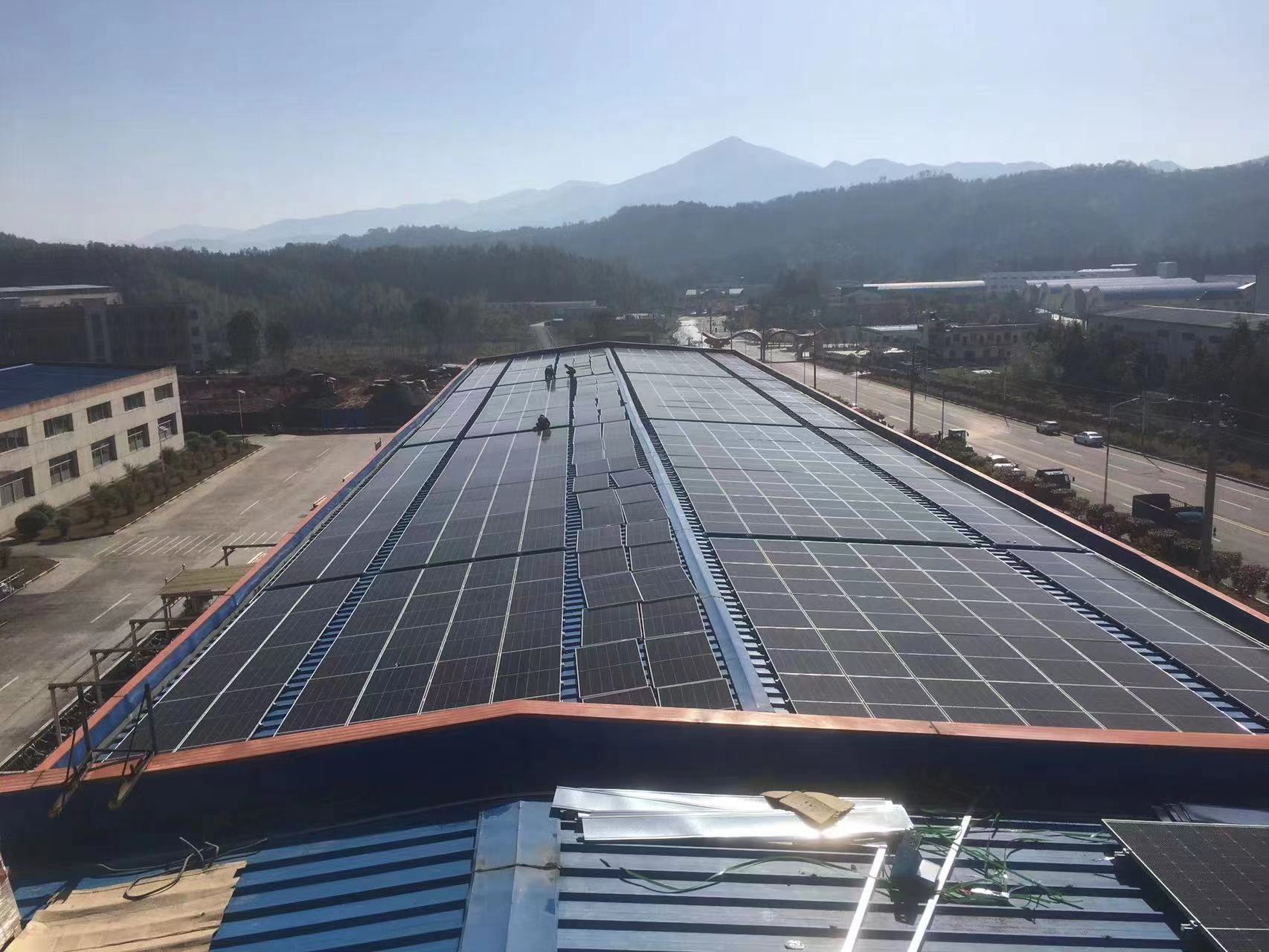 ���Ų����ҹ����������Ʒ�Ը��ʳ���98%