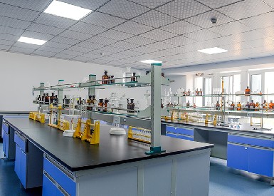 氢能源实验室气体检测案例