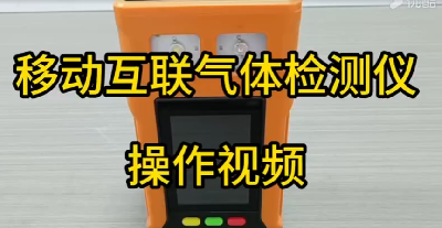 现场空气监测仪 PTM600-S